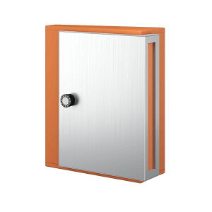 ナスタ 戸建住宅用ポスト 横入前出/壁付・防滴タイプ 【受注生産品】 KS-MB31SN-L-OR オレンジ オレンジ