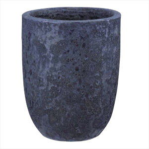 �g�[�V�� DOLMRAN �h�������� �g�[�����E���h F�u���[ 35L GP-EB-VO4354BU