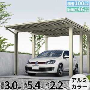 yLy[Ώۏizyî݁zJ[|[g 1p YKKAP YKK Gt[W 3000^Cv 54-30H W^Cv |J wԌ K[W ϐ100cm̋xxw J[|[g Ԍ K[W ԏ 