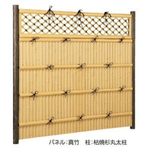 ^JV[@e-ou[jbg iq_@H1800@pliʁj@H1800@͕ʔł@w|_tFX@x