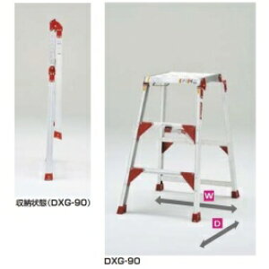 sJR[|CV ܂肽ݎƑem DXG-60