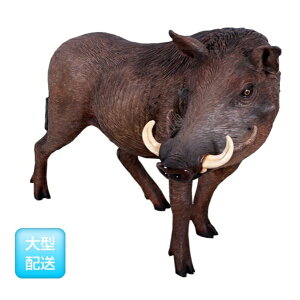 FRP AtJYڂ̂ / African Warthog fr130055 wIuWF Aj}IuWF X܁ECxgx