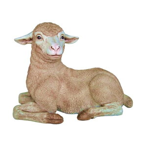 FRP qЂ̂났 / Merino LamB fr020502 wIuWF Aj}IuWF X܁ECxgx