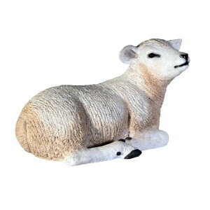 FRP _aȎqЂ / Texelaar LamB Resting fr110034 wIuWF Aj}IuWF X܁ECxgx