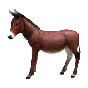 FRP hL[ / Donkey fr080044 wIuWF Aj}IuWF X܁ECxgx