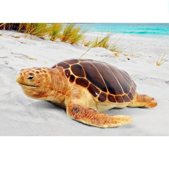 楽天市場 Frp 産卵場所を探すアカウミガメ Loggerhead Turtle 亀オブジェ アニマルオブジェ 店舗 イベント向け エクステリアのキロ楽天市場支店