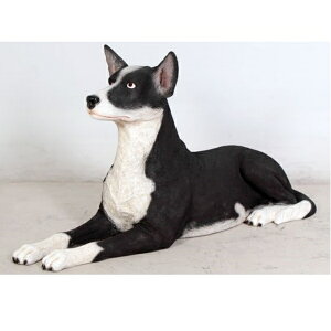 FRP Ps[ / Kelpie Lying Down fr100040 wIuWF Aj}IuWF X܁ECxgx