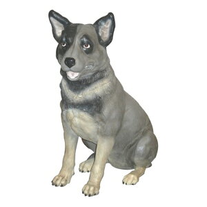 FRP ɂ܂ / Blue Heeler fr080072 wIuWF Aj}IuWF X܁ECxgx