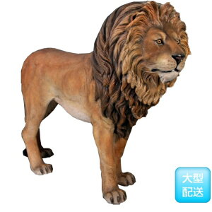 FRP YCI / Lion King fr110101 wIuWF Aj}IuWF X܁ECxgx