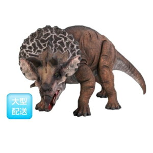 FRP ^gPgvX / Definitive Triceratops fr110025wIuWF كIuWF X܁ECxgx