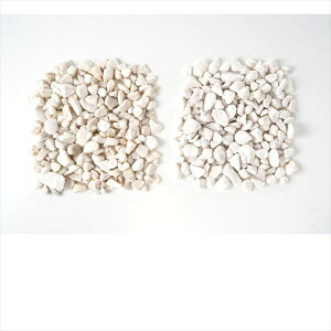 I[ p gF̐ HV3-GR-W w𒌁E IvVxIN^S K[fpƓŵ݁ zCg