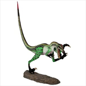 FRP �֖҂ȃ��F���L���v�g�� / Ferocious Velociraptor fr150024 �w�����I�u�W�F �����كI�u�W�F �X�܁E�C�x���g�����x