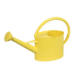 mΑn vgACe Waterring Can WE 81512 CG[