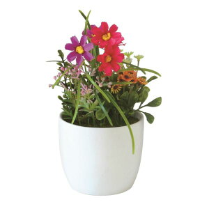 mΑn@tFCNO[@tFCNvg@82143