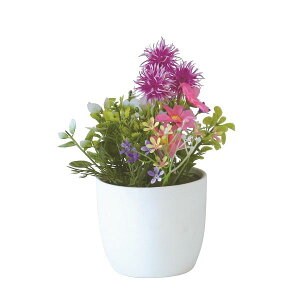 mΑn@tFCNO[@tFCNvg@82144