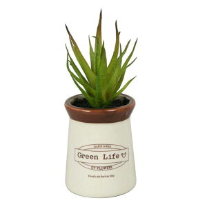 mΑn@tFCNO[@tFCNvg@82141