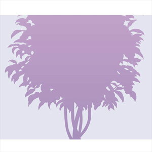 XebJ[ EH[XebJ[ A xW~ LTCY TS0002-CL p[v w 킢x w V[x