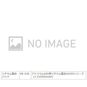 jbPC \[[Ɩ jR\[[EAgE IvV 600p `EdrpbN p VB-03R wNIKKEI AhrbNx