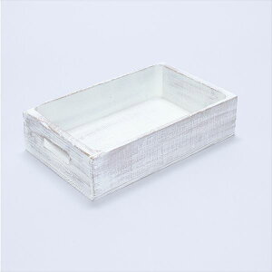 wX E^Ebh AeB[NBOX  WB-S iW) Vr[zCg Vr[zCg