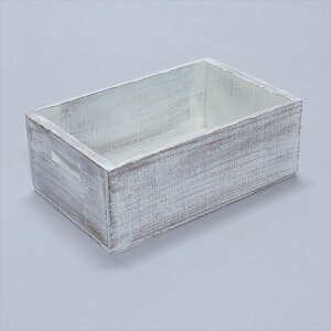 wX E^Ebh AeB[NBOX  WB-L iW) Vr[zCg Vr[zCg