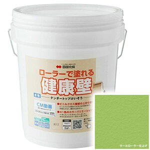 y@ll菤i lEzszl e_[gbv TDKN-S419 [[ŊȒP{H wʂ  tH[ DIY hx WG`