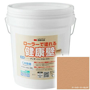 y@ll菤i lEzszl e_[gbv TDKN-S250-2 [[ŊȒP{H wʂ  tH[ DIY hx ~`߂