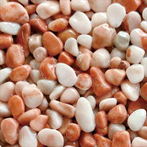 I[ ؃Cu[tA 1m2Zbgi@CgsN NX2-PF016