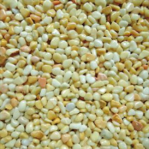 I[ ؃Cu[tA 1m2Zbgi@A[XCG[ NX2-PF011