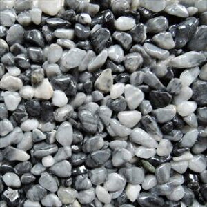 I[ ؃Cu[tA 1m2Zbgi@TO[ NX2-PF012