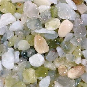 I[ ؃Cu[tA 1m2Zbgi@CgO[ NX2-PF014