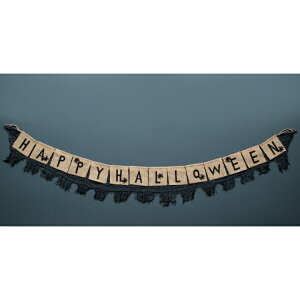 Fߋ nEBoi[K[h nEBoi[K[h(HHW) HW-1488 wnEB t J{` 킢x