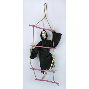 �F���ߋ� �n���M���O�z���[�f�R���[�V���� �n�V�S�K�C�R�c(M) HW-2022 �w�n���E�B�� ����t�� �J�{�`�� ���킢���x