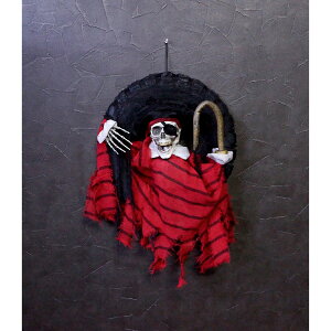 Fߋ [rOXJ[X [rOXJpC[c[X HW-1358 wnEB t J{` 킢x