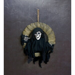 Fߋ [rOXJ[X [rOXJ[X HW-1357 wnEB t J{` 킢x