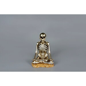 Fߋ XJfR[V ^bNґzhN(Cgt) HW-1173 wnEB t J{` 킢x