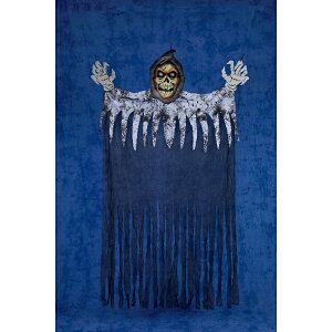 Fߋ nMOJ[e nMOJ[eiXPA[[p[j HW-1268 wnEB t J{` 킢x