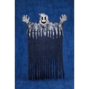 Fߋ nMOJ[e nMOJ[eS[Xg HW-1269 wnEB t J{` 킢x