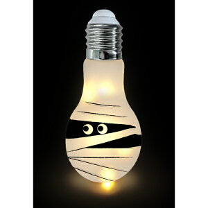 Fߋ LED`[tCg LEDnEBouCg(}~[) HW-1446E wnEB t J{` 킢x