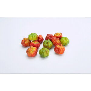 �F���ߋ� �~�j�p���v�L���f�R���[�V�����Z�b�g �p���v�L���f�R���[�V����(S)12pcs�Z�b�g SA-2031 �w�n���E�B�� ����t�� �J�{�`�� ���킢���x