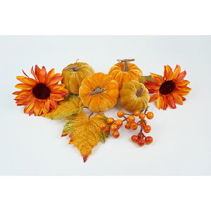 Fߋ pvLfR[VZbg I[^pvLZbg(IW) SA-1051OR wnEB t J{` 킢x