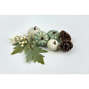 Fߋ pvLfR[VZbg I[^pvLZbg(zCg) SA-1051WH wnEB t J{` 킢x