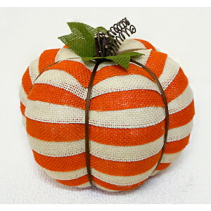 Fߋ p^[pvL t@ubNpvL({[_[) SA-1009 wnEB t J{` 킢x