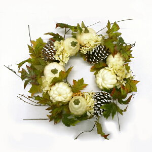 Fߋ pvLI[^fR[V zCgpvL[X SA-2012 wnEB t J{` 킢x