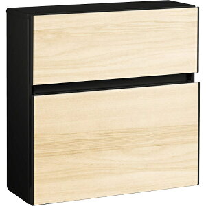 YKK �G�N�X�e���A�|�X�g T10�^ �O����O�o�� �iAR�jAME-TY10 �w�X�փ|�X�g�x �o�j���E�H�[���i�b�g/�u���b�N