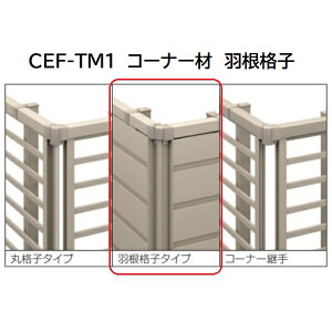 OA~ }CXeBCEF TM1^ R[i[ Hiq 2008