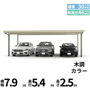 �y�L�����y�[���Ώۏ��i�z�y���i�̂݁z�J�[�|�[�g 3��p YKK YKKAP �W�[�|�[�g Pro 900�^�C�v ���ނȂ� ��������Ȃ� �P�̒�4�{ 55-80 H25�w �ܔ� �Z�b�p�� �J�[�|�[�g �Ԍ� �K���[�W ���ԏ� ���� 