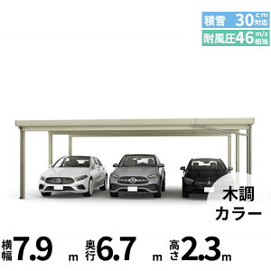 yLy[Ώۏizyî݁zJ[|[g 3p YKK YKKAP W[|[g Pro 900^Cv ނȂ Ȃ s6{ J55E12-80 H24w ܔ Zbp J[|[g Ԍ K[W 