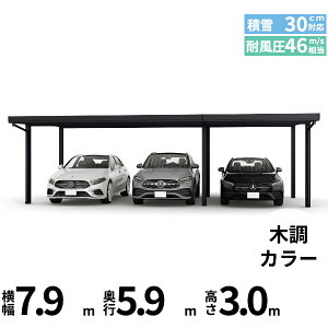 yLy[Ώۏizyî݁zJ[|[g 3p YKK YKKAP W[|[g Pro 900^Cv ނȂ Ȃ Ԍ(2)A6{ M60-48E30 H30w ܔ Zbp J[|[g Ԍ K[W 