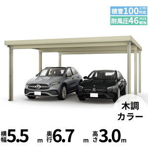 yLy[Ώۏizyî݁zJ[|[g 2p YKK YKKAP W[|[g Pro 3000^Cv ނȂ Ȃ s6{ J55E12-55 H30w ܔ Zbp J[|[g Ԍ K[W 