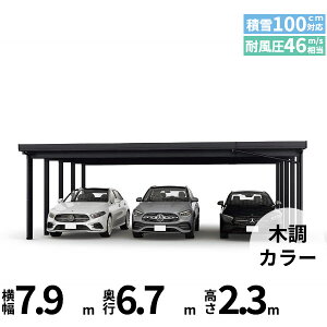 �y�L�����y�[���Ώۏ��i�z�y���i�̂݁z�J�[�|�[�g 3��p YKK YKKAP �W�[�|�[�g Pro 3000�^�C�v ���ނȂ� ��������Ȃ� ���s������10�{ J55�E12-80 H24�w �ܔ� �Z�b�p�� �J�[�|�[�g �Ԍ� �K���[�W ��